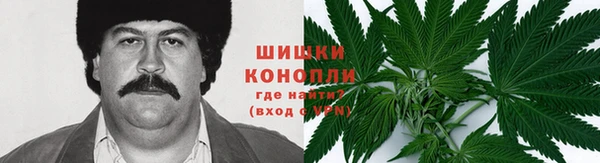 дмт Богородск