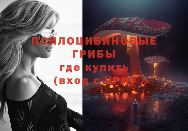 дмт Богородск