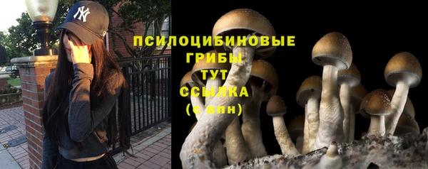 мдма Богородицк